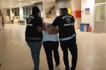 Beykoz'da işaret fişeği ile ormanı yakan şüpheli tutuklandı