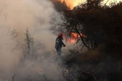 Ankara’da yangın paniği: Ağaçlık alan kül oldu, evlere sıçradı