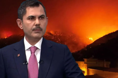 Orman yangınlarında acı bilanço... Bakan Kurum: Afetin izlerini hızla sileceğiz
