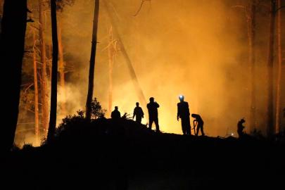 Vatandaşlar "Yeşil Vatan için biz de hazırız" mesajıyla CİMER'e başvurdu