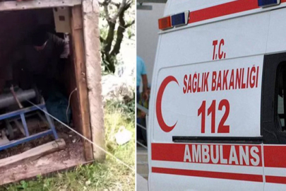 Fındık bahçesinde korkunç olay: Karı koca ölü bulundu