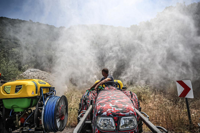 İstanbul'da yaklaşık 10 bin kişi orman gönüllüsü oldu