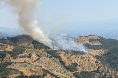 Kayınpederine kızan gelin tarım arazisini yaktı