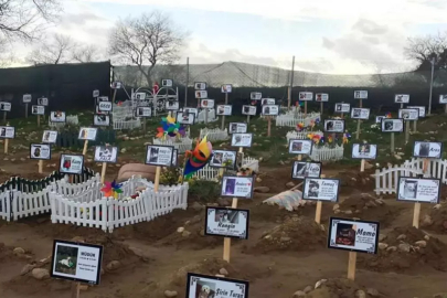 Fırsatçılar için yeni sektör! Kaçak evcil hayvan mezarlığı