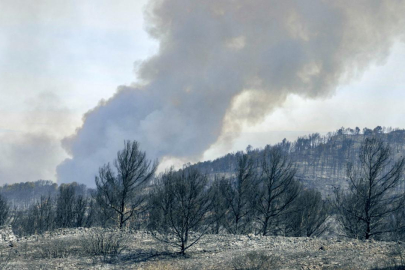 Fransa'da 16 bin hektardan fazla alanı küle çeviren yangın henüz kontrol altına alınamadı