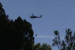 Sinop'ta orman yangını:  6 hava, 60 kara aracıyla alevlere karşı mücadele ediyor