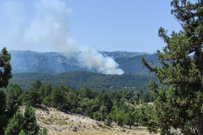 Mersin'de orman yangını