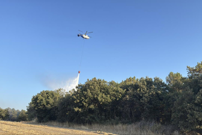 Ezine, Enez ve Şehzadeler'deki yangınlar kontrol altında