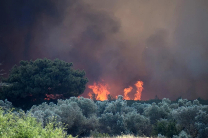 Buca'daki yangın kontrol altında!