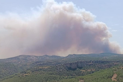 Mersin'de orman yangını: 3 mahalle tahliye ediliyor