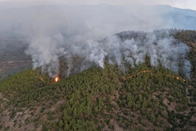 Alevlerle mücadele sürüyor! Yüzlerce kişi tahliye edildi