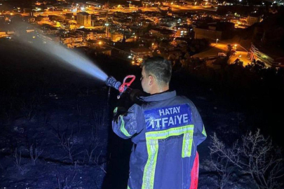 Hatay Antakya'da çıkan orman yangını kontrol altına alındı