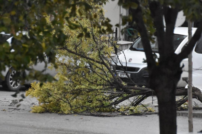 13 il için "sarı" uyarı: Fırtınaya dikkat