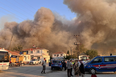Çanakkale Gelibolu'da orman yangını: Dört köy tahliye edildi