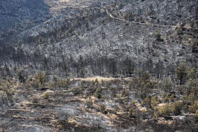 Silifke'deki orman yangınıyla ilgili 4 kişi tutuklandı