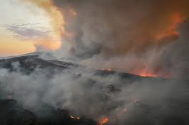 Çanakkale Gelibolu’da orman yangını ikinci gününde devam ediyor