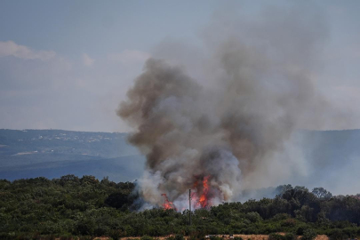 Bursa'da orman yangını: Havadan ve karadan müdahale sürüyor