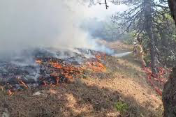 Bolu Mengen’de orman yangını: Ekipler müdahale ediyor