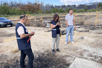Gelibolu'daki orman yangınından etkilenen köylerde hasar tespit çalışması sürüyor
