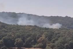 İstanbul'da orman yangını: Ekipler müdahale ediyor