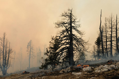 Avrupa Birliği kayıtlardaki en kötü yangın sezonuyla karşı karşıya