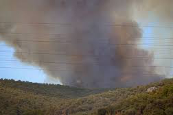 Bursa'da orman yangını çıktı: Alevler akaryakıt istasyonuna yaklaştı