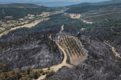 Çanakkale'de 7 bin 39 hektarlık alan yandı