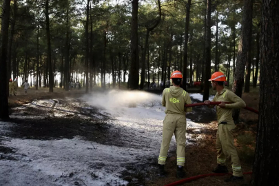 İklim değişikliği Türkiye ve Yunanistan'da orman yangınlarına yol açan hava koşullarını şiddetlendirdi