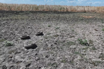 Yağcılı Göleti'ni kuraklık vurdu