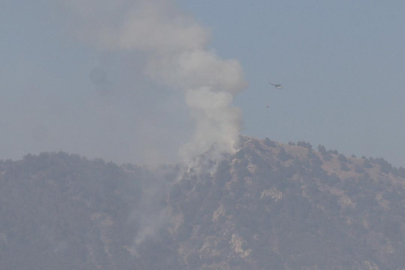 Denizli'de alevlerle mücadele 4 gündür sürüyor