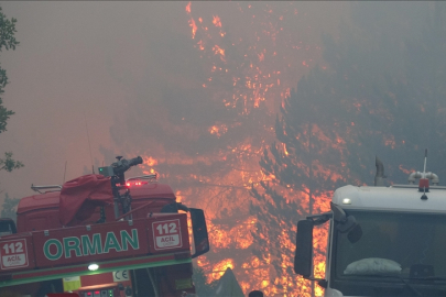 Bakan Yumaklı duyurdu: 2 ilimizdeki yangınlar kontrol altında