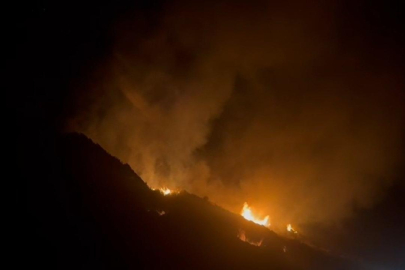 Hatay'da ağaçlık alanda yangın