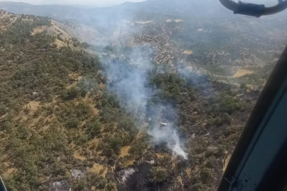 Şırnak'ta orman ve örtü yangını