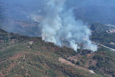 Düzce'de yangın: Müdahale sürüyor