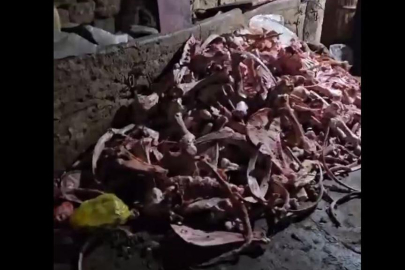 Kayseri'de yaklaşık 1,5 ton mühürsüz ve uygunsuz et imha edildi