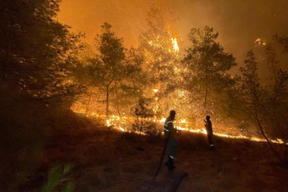 Antalya ve Muğla'da orman yangınlarıyla mücadele sürüyor