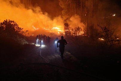 Alanya'da ormanlık alanda yangın çıktı