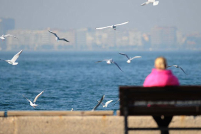 Sıcaklık artıyor, yağış etkisini yitiriyor