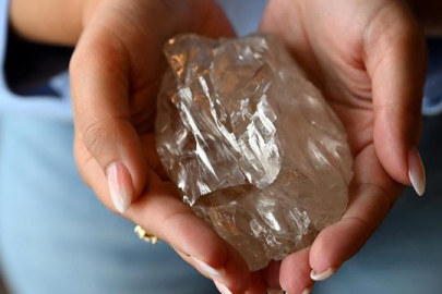 Dünyanın en büyük elması için fiyat belirleniyor