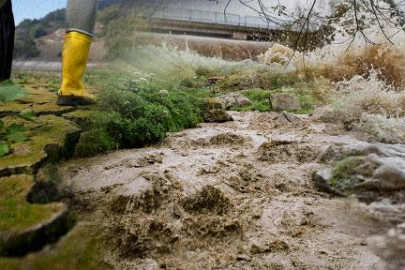 İklim değişikliğine karşı direnci artırmak için yeni adımlar yolda