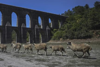 İstanbul'da barajlar alarm veriyor