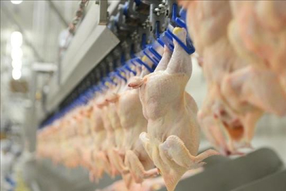 Beyaz et sektöründeki 13 firmaya 3,7 milyar lira ceza