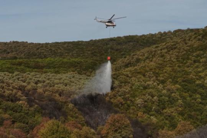 Bursa'da çıkan orman yangını kontrol altına alındı