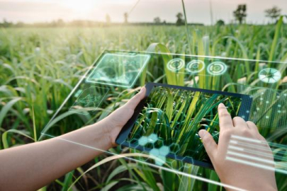 İklim değişikliğine karşı dijital tarım tavsiyesi