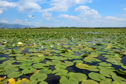 Biyoçeşitlilik ve habitatın korunması için geliştirilen projeler desteklenecek