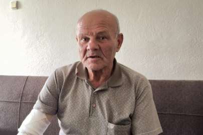 Burdur'da başıboş sokak köpeğinin saldırdığı kişi yaralandı