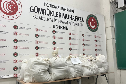 Kapıkule'de tır dorsesine gizlenmiş 113 kilogram uyuşturucu ele geçirildi