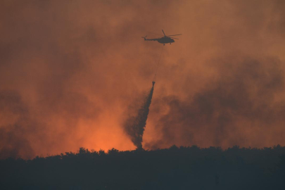 Bu yıl 6 bin 800 orman yangını çıktı: 80 bin hektar alan zarar gördü