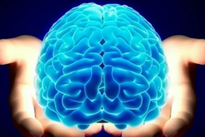 Beynimiz hangi yaşta zirveye ulaşıyor? Bilim insanları açıkladı