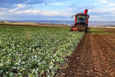 Zirai don mağduru çiftçilere ilk etapta destek ödemesi başlayacak